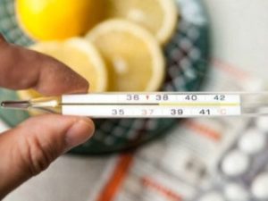 Інформаційний бюлетень за 9 тиждень 2020 року﻿