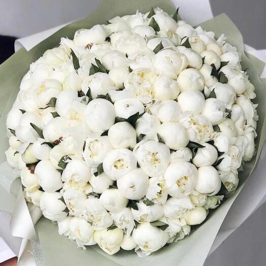 ШАНОВНІ МЕДИЧНІ СЕСТРИ!